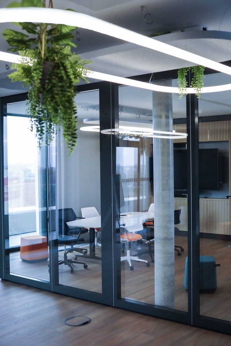 Büro mit Glaswänden, Besprechungstisch, Bildschirm und hängender Pflanze